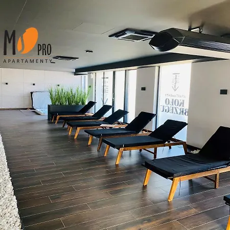 Ms Pro Kolo Brzegu *