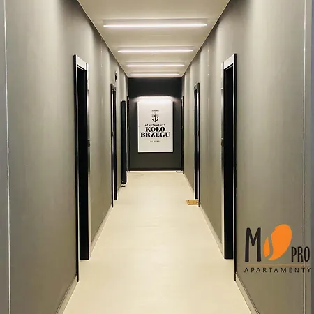 Ms Pro Kolo Brzegu *