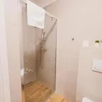 Ms Pro Kolo Brzegu * كولوبرزيغ
