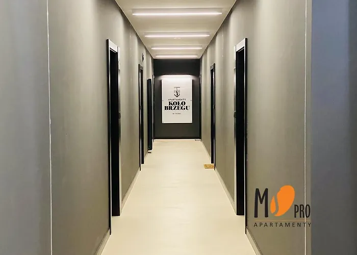 Ms Pro Kolo Brzegu *